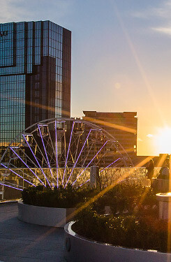 Birmingham vignette